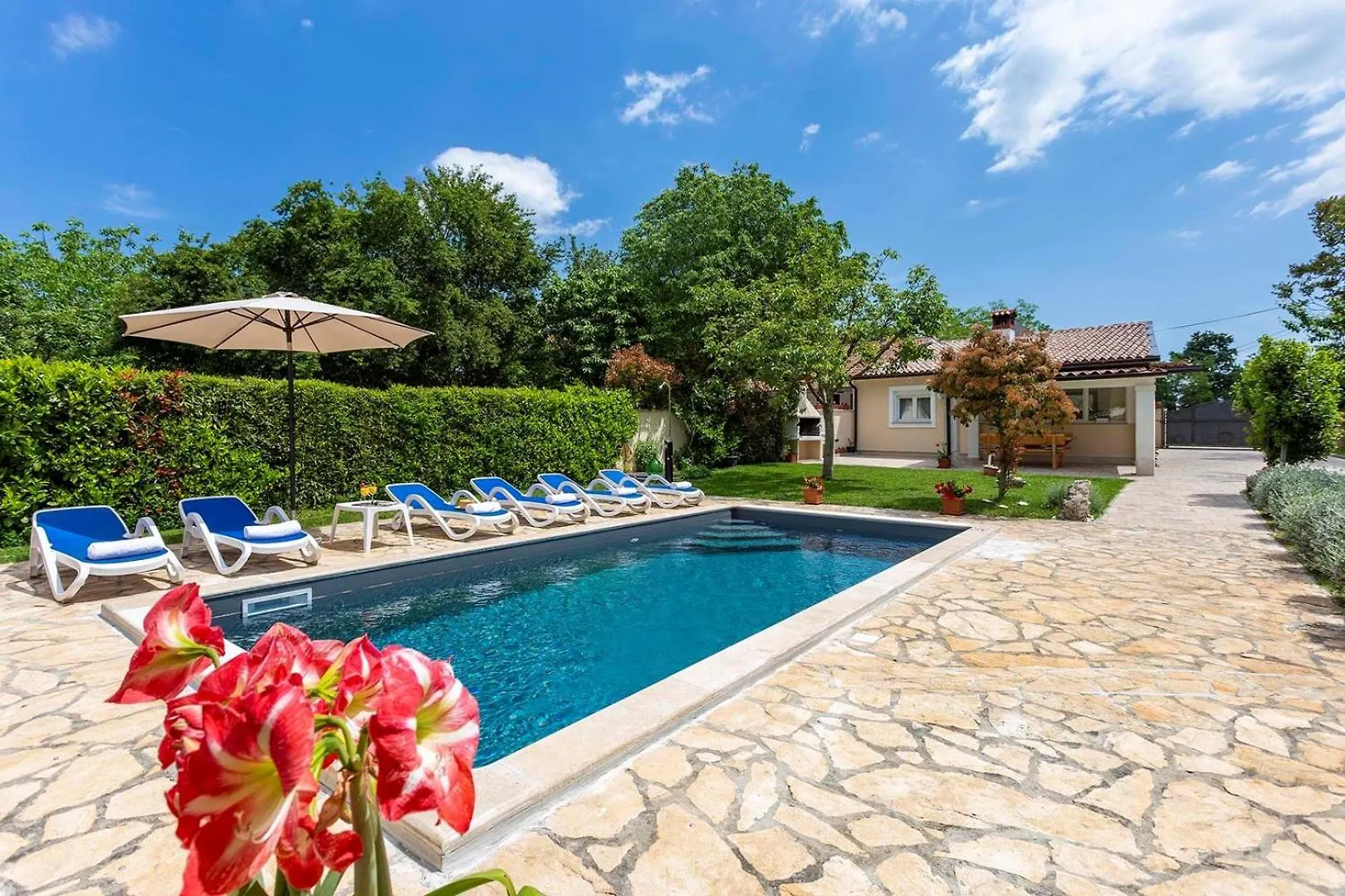Svetvinčenat Villa Darko קרואטיה