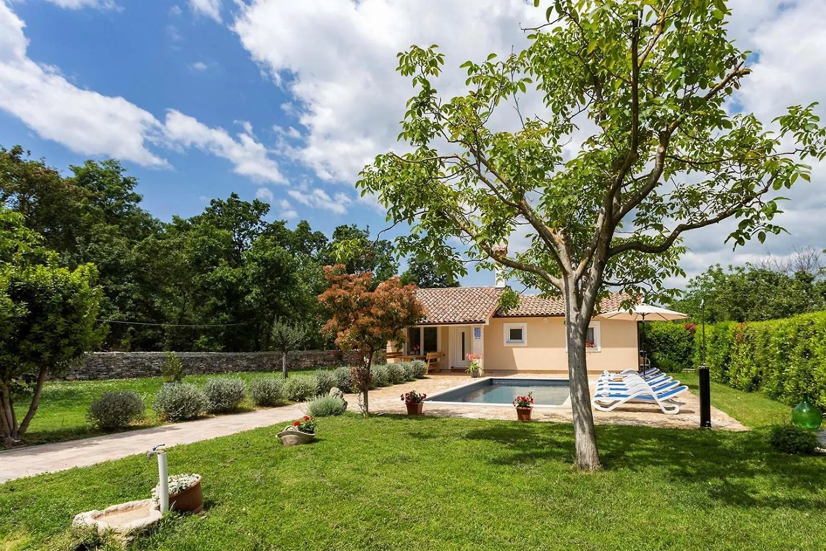 Svetvinčenat Villa Darko