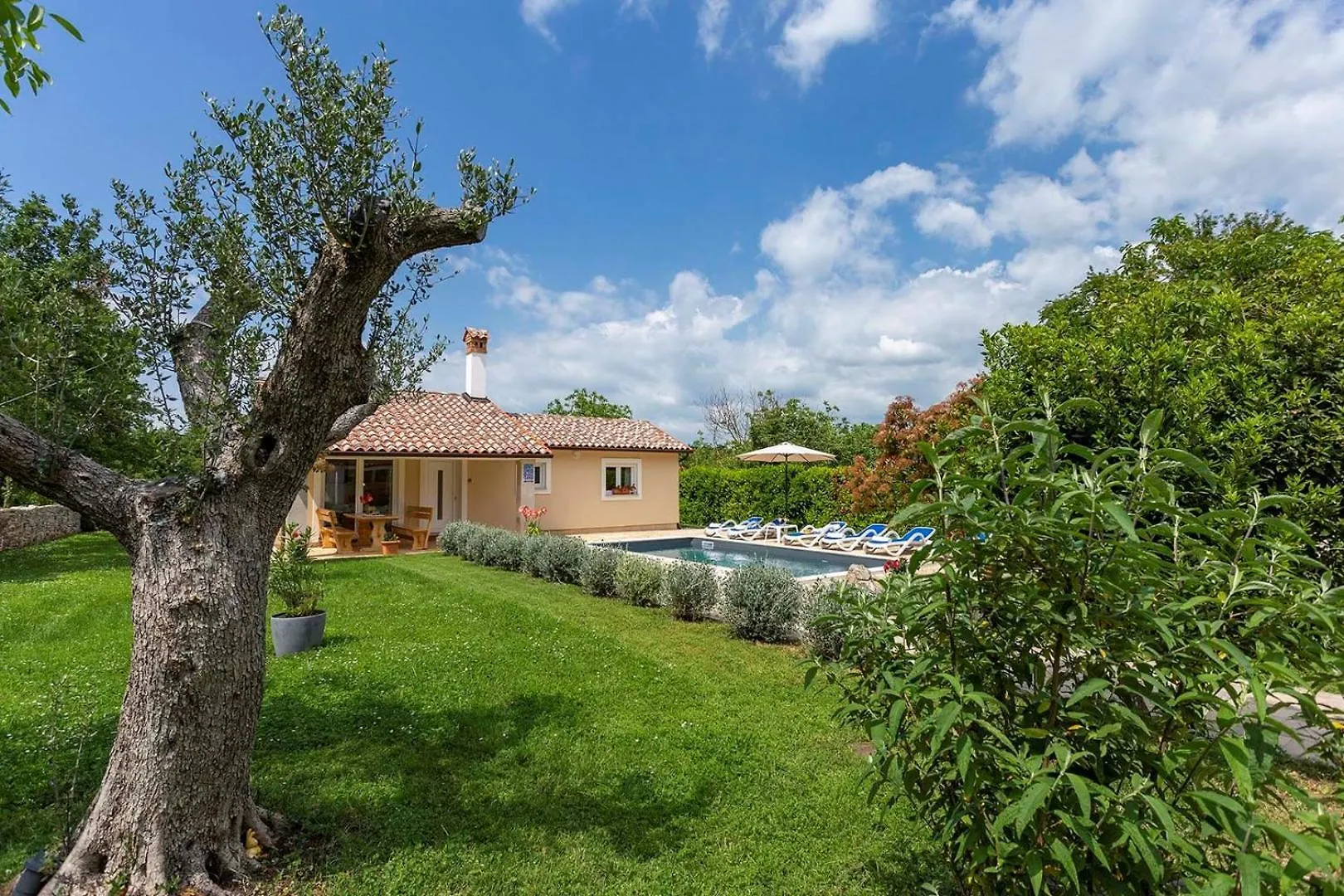 Svetvinčenat Villa Darko