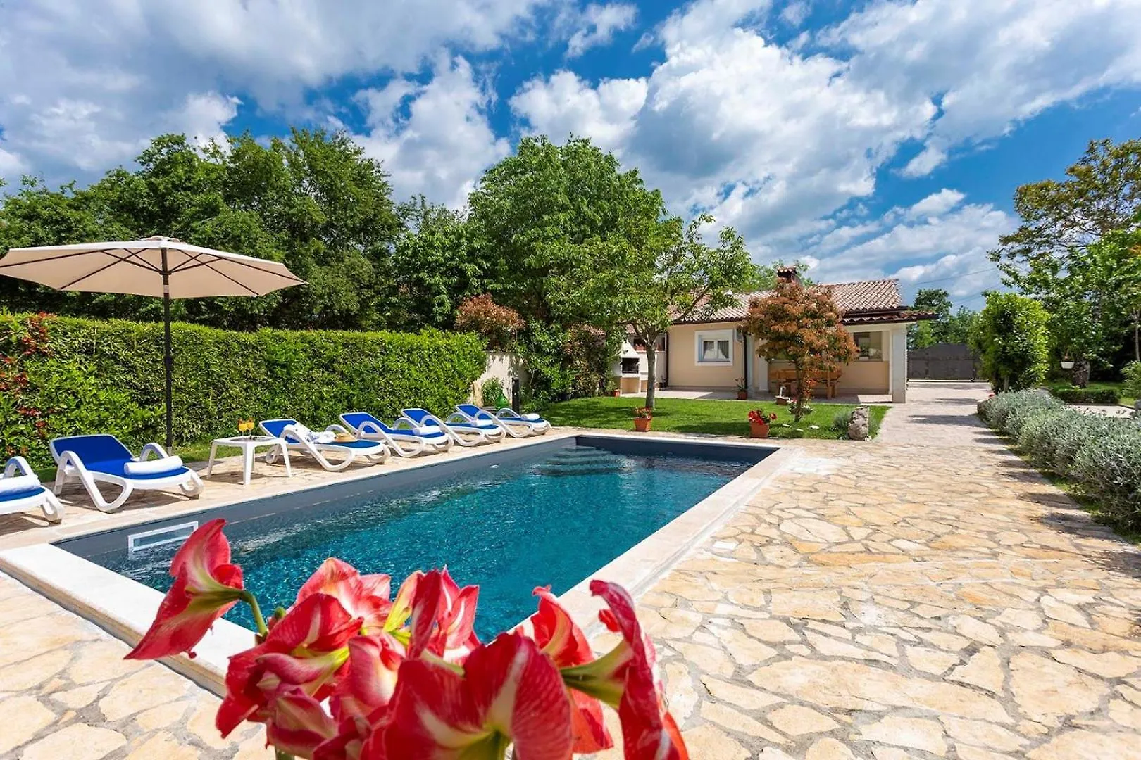 Svetvinčenat Villa Darko